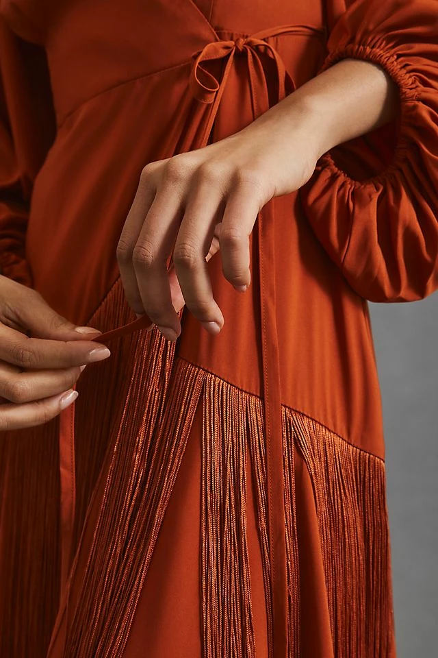 Flash Sale โญ Hutch Fringe Wrap ๐ Dress CEDAR ๐ 6 Flash Sale โญ Hutch Fringe Wrap ๐ Dress CEDAR ๐ - Image 4